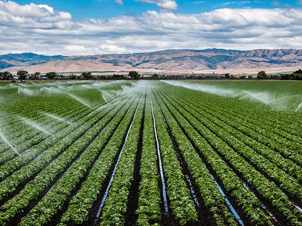 impianti-irrigazione-a-parma-e-piacenza