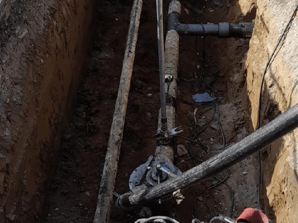 quarta-quinta-e-sesta-specie quarta-quinta-e-sesta-specie